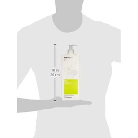 Framesi Morphosis Balance Champú, 34 fl oz, Champú para cabello graso, limpieza y volumen