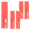 Lilybyred Cheeky Liar Coating Lip Tint, 04 Pretending to be a Shy Peach, 5 pieces / 릴리바이레드 앙큼 라이어 코팅 립틴트, 04수줍은복숭아인척, 5개