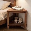 IBosins Corner Shower Stool with Storage Shelf Shower Foot Rest