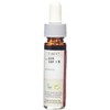 Holy Lama Naturals Spice Drops Ginger Extract 5 ml (Pack