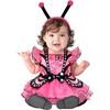 InCharacter Pink Butterfly Tutu Infant Costume, Medium (12-18)