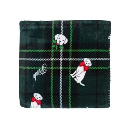 Victoria's Secret Pink Cozy Plush Sherpa Blanket Green Plaid Dog Puppy Size 60" x 50" New