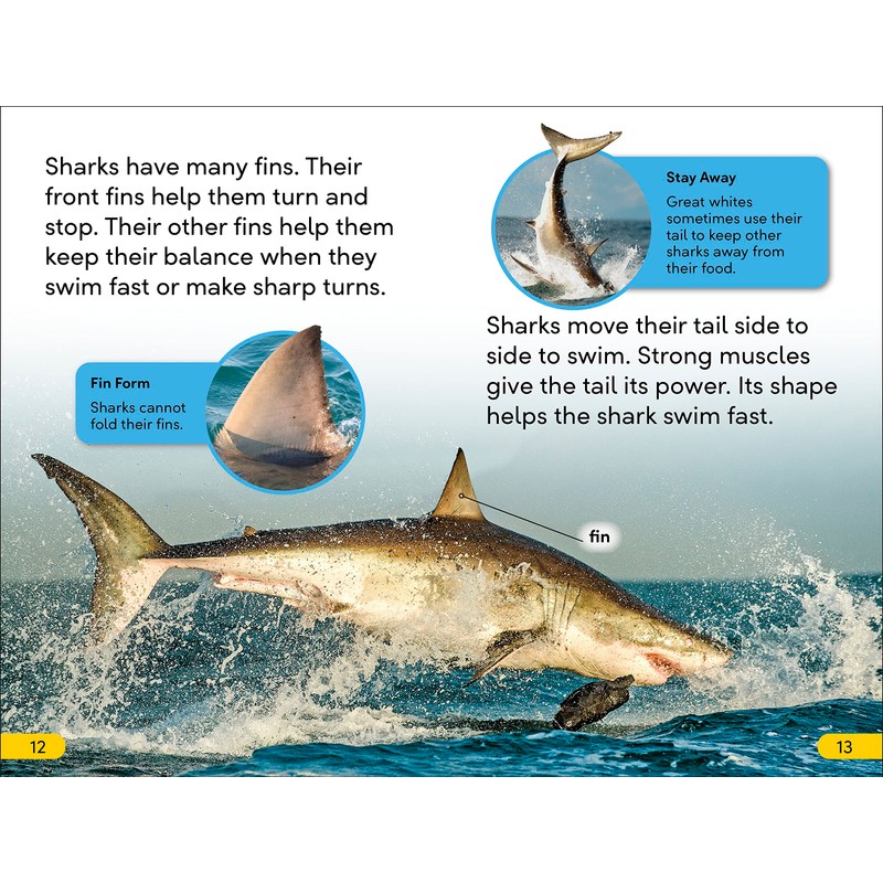 DK Super Readers Level 2 Great White Sharks