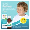 페디아키드 PEDIAKID 비타민 B6 시럽 Nervenheld 125ml PEDIAKID Vitamin B6