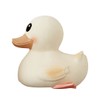 HEVEA Kawan rubber duck