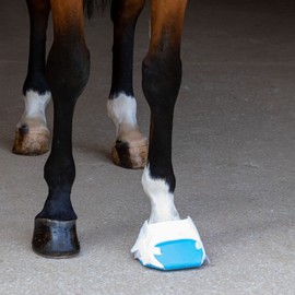UltraFlex Flex Foam Hoof Wrap | Additional Protection for Horse Hooves | Treats Thrush, Abscesses, or Bruises | Customizable Fit | Durable and Reusable | Set of 4 | Size Medium