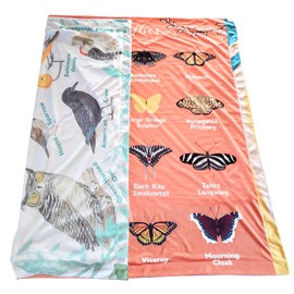 Birdy Boutique Learning Blanket® – Butterflies & Backyard Edition – Soft Minky ABC Blanket for Toddlers – 50" x 60" Nature Throw for Preschool & Daycare