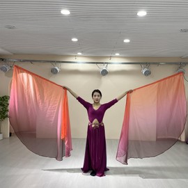 SCDZCAR 2PCS 55inX75in Worship Flags Set for Dance Church Flags for Worship Guard Flag Praise Dance Flags With Sticks for Dance Church (Black)