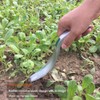 Kbenison One-Piece Aluminum Gardening Weed Tools, Hand Garden Weeder Tool,
