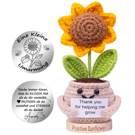 Mwmoeen Funny Pocket Hug Positive Sunflower, Creative Pocket Hug Positive Potato and Small Hug Lucky Charm (Silver), Special Wooden Base, Best Friend Gift for Women
