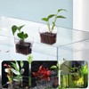 egniFurn 4-Pack Clear Aquarium Plant Holders with Hooks, Ideal for