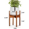 Fox & Fern Mid Century Plant Stand — 8 Inch