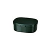Tatsumiya 303490 Quick Washable Lunch Box, Large, 30.5 fl oz