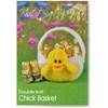 Knitting Pattern Chick Basket from Knitting by Post - Get