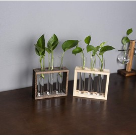 PACDONA Wall Hanging Glass Test Tube Planter Propagation Station Glass Vase Rack with Wood Stand, Plant Terrarium Holder for Hydroponics Succulent Air Bamboo Plants with 3 Test Tube.
