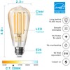TJOY 12 Pack Vintage LED Edison Amber Light Bulbs, 60W