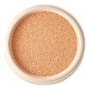 IOPE Super Vital EX Cushion Foundation Refill 16g, 21 LIGHT BEIGE, 1 piece / 아이오페 슈퍼바이탈 EX 쿠션 파운데이션 리필 16g, 21 LIGHT BEIGE, 1개