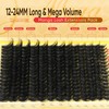 JIMIRE Thick Lash Clusters Kit 12-24MM 200D Volume Cluster Eyelash