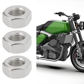 LT Easiyl Pack of 10 M10 x 1 mm Crankshaft Hex Nuts 304 Stainless Steel Fine Thread Nuts Compatible with Simson S50 S51 S70 SR50 KR51 SR4 SR80