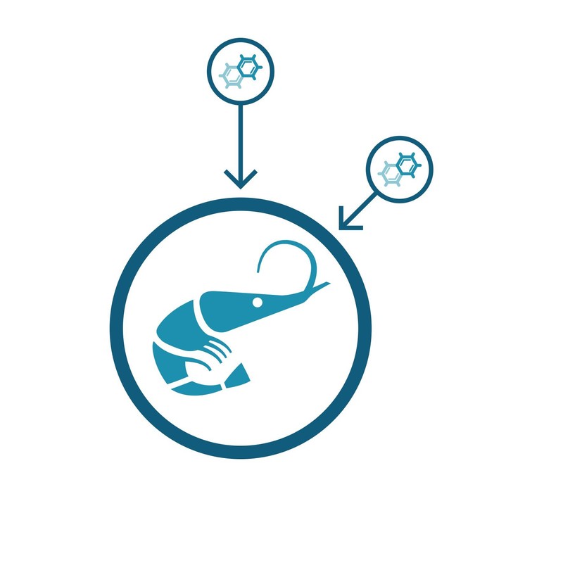 ForteVital Krillöl Bundle (180 Kapseln)