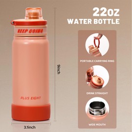 pluseight Insulated Water Bottle with Straw Lid, 22 oz Stainless Steel Vacuum Metal Bottle, Leak Proof, Flip Lid, Carry Handle for Gym, Travel, Sports (Orange)