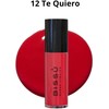 Kit de Maquillaje Rostro y Labios 1 Rubor Liquido +