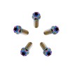 Tornillos de titanio RISON M6 x 1.0 Torx de titanio