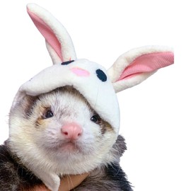 Ferret Costume Cartoon Animal Shape Pet Cap Hamster Guinea Pig Party Cosplay Animal Ear Cap Headwear Kitten Cat Hat Photo Booth (Bunny)