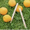 colorgram Shade Re-Forming Brush Liner (11 Colors) - 11 30%