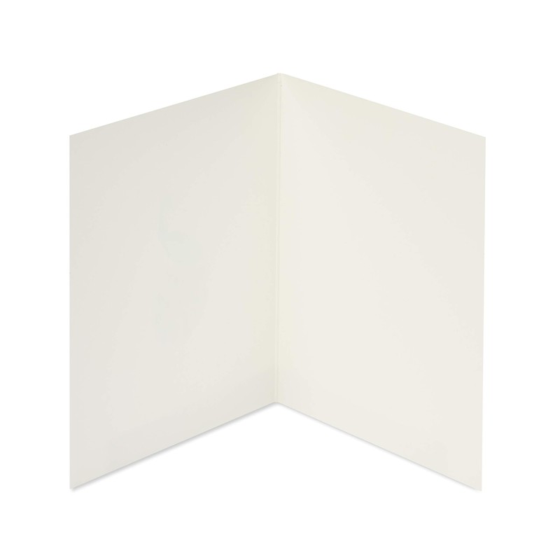 Papyrus Blank Thinking of You Card (Peacock)