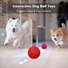 hipibbo Interactive Dog Toys Dog Ball, Durable Motion Pet Toys