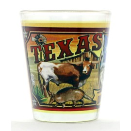 Texas State Mural Shot Glass