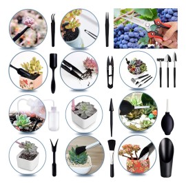 Herramientas Jardn Para Suculenta Con Tijeras De Podar 22pc                                                                                           