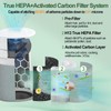 211i Max Replacement filter 2-Pack - High-Efficiency HEPA for Dust,