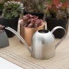 Stainless Steel Watering Can Indoor Household Succulent Potted Plant Watering