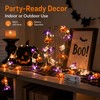 Halloween Fairy String Lights for Indoor & Outdoor Decor –