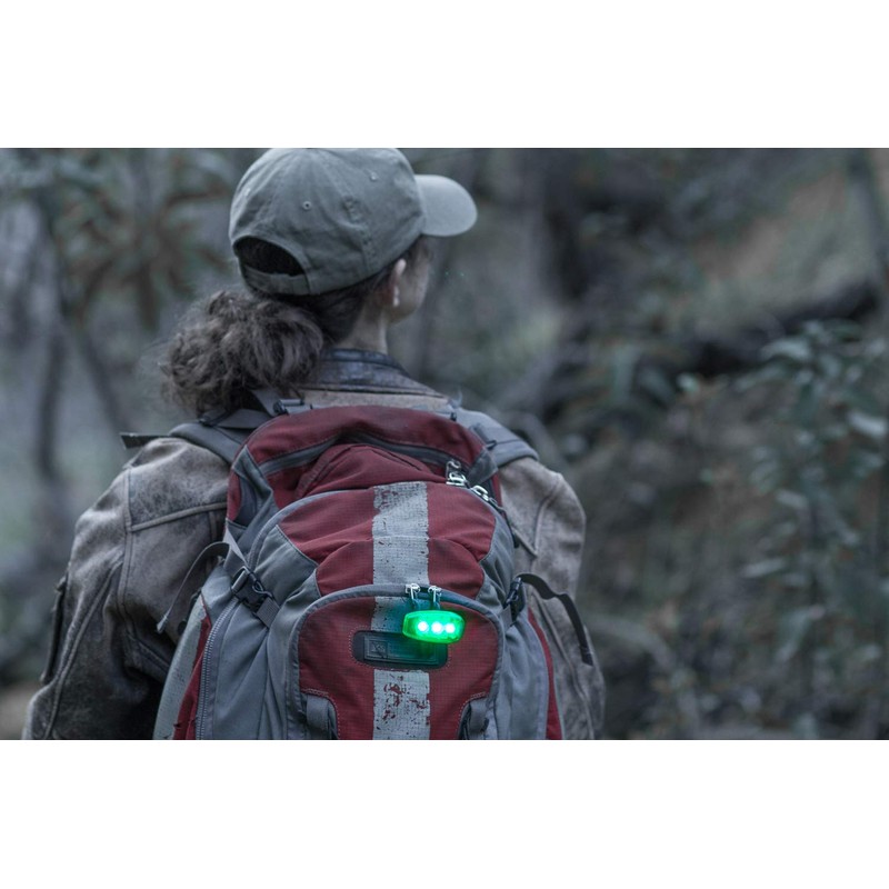 SE 30 Lumens Energy Efficient Safety Light with Green Exterior