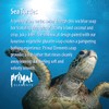 Primal Elements Loaf Soap, Sea Turtles, 80 Ounce