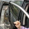 Saluaqui Car Grab Handle, Car Handle Assist, Auto Motive Cane