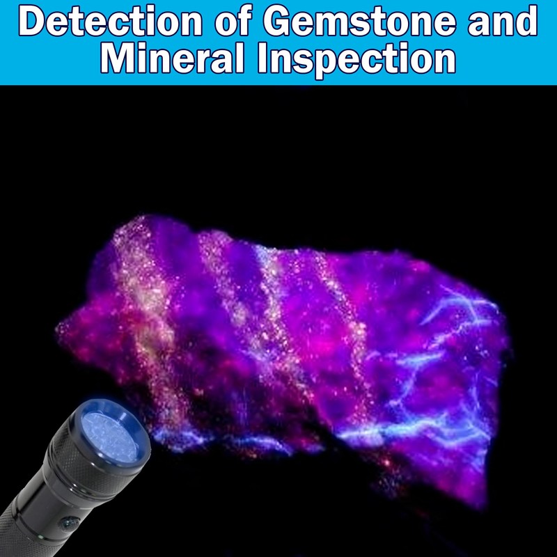 HQRP Professional 365 nM Longwave 12 UV LED Blacklight Flashlight