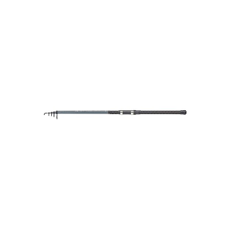 DAM Camaro Tele 100, 2.70 m, 50-100 g, 5 pieces,