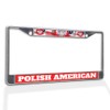 Fastasticdeals Metal Insert License Plate Frame Polish American Poland Weatherproof