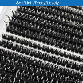 Bransfy Cluster Lashes 273PCS D Curl Individual Eyelashes Natural Lash Clusters Fluffy Mix Individual Extensions (60D+80D-0.07D 9-16mm)