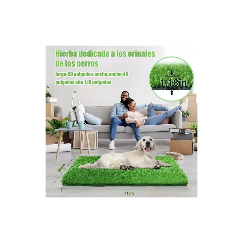 Alfombra Césped Perros Fengtuilie 71x46cm Lavable Ecológica Verde