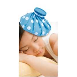 Trade One Ice Bag 1000 Blue