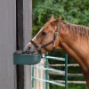 generic Bebedero Automático Plásticos Caballos Ganado Cabras Gatos