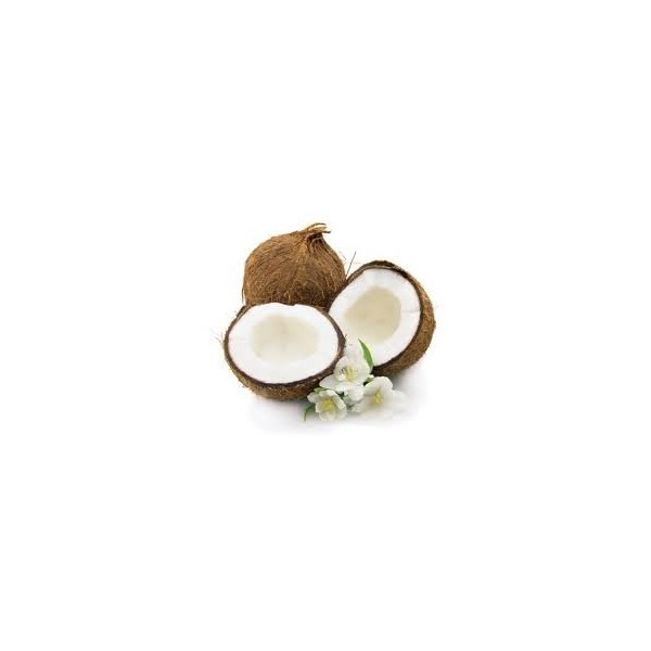 Fresh Coconuts (Set Of 9)