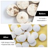 7 Day Pill Box: PRITOK Beech Wood Pill Box 7