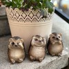 Objectz Three Small Hedgehogs - See Nothing Say - Decoration