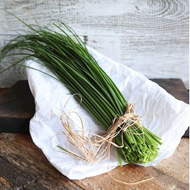 RAISE ME UP: Seeds Chives Green Onion Non GMO Heirloom